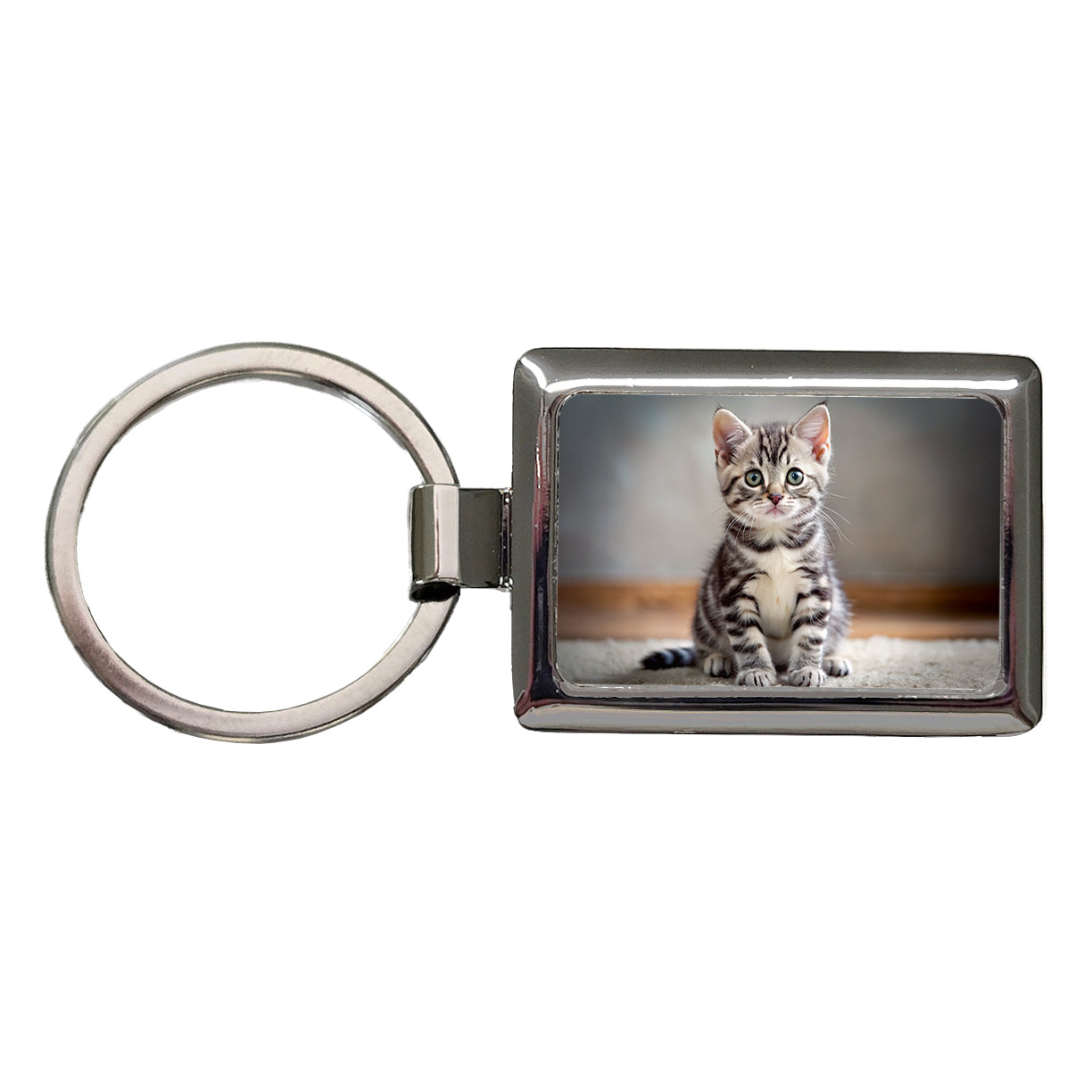 American Shorthair Cat Kitten Photo Rectangle Metal Keychain