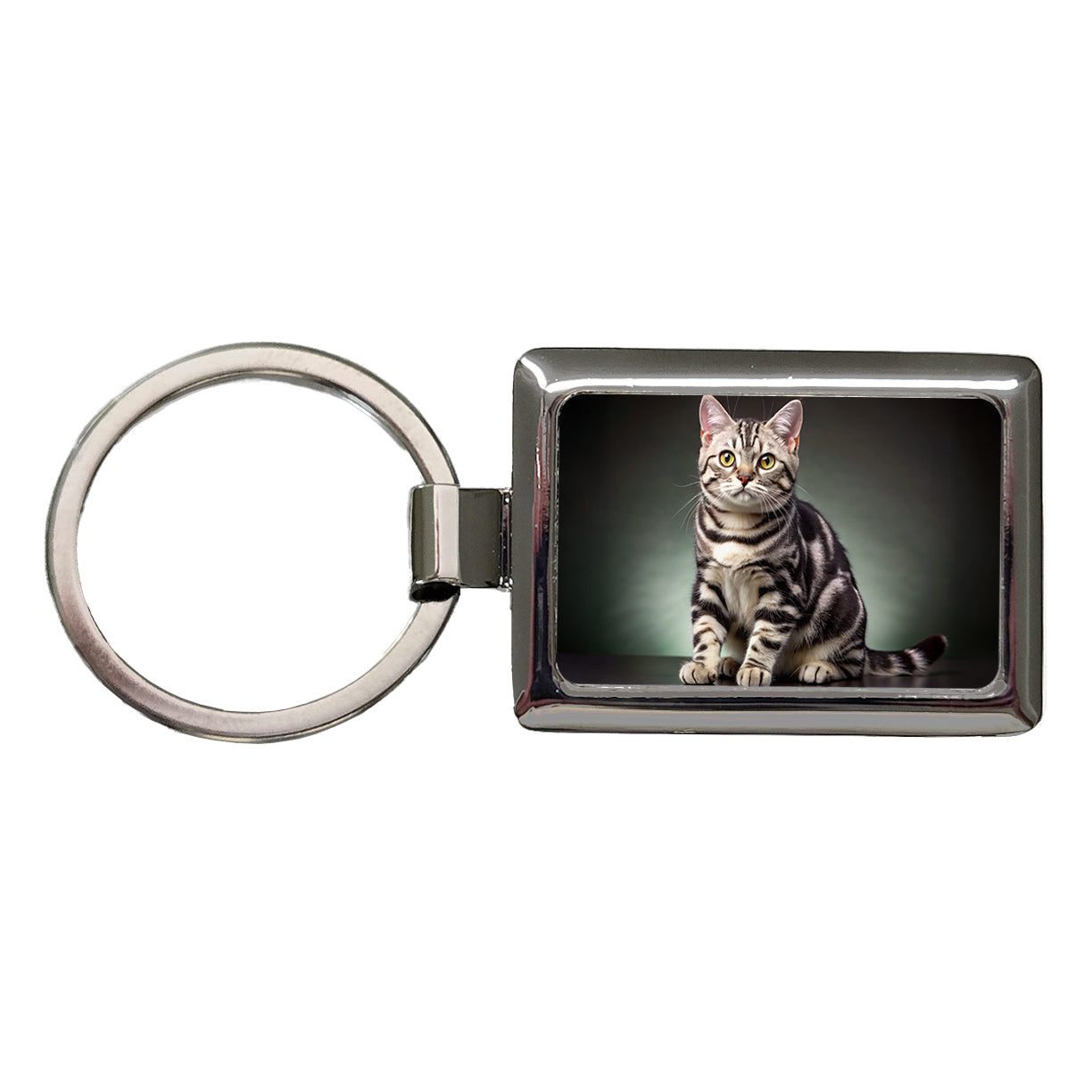 American Shorthair Cat Photo Rectangle Metal Keychain
