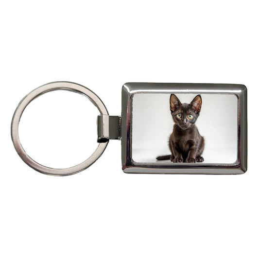 Bombay Black Cat Kitten Photo Rectangle Metal Keychain