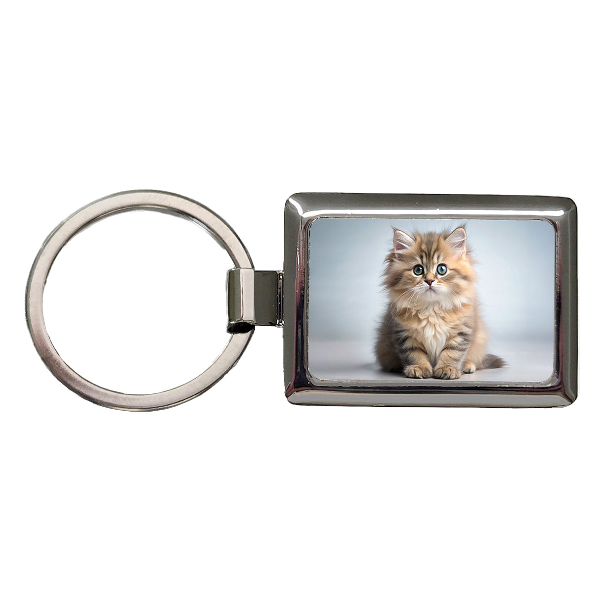 British Longhair Cat Kitten Photo Rectangle Metal Keychain