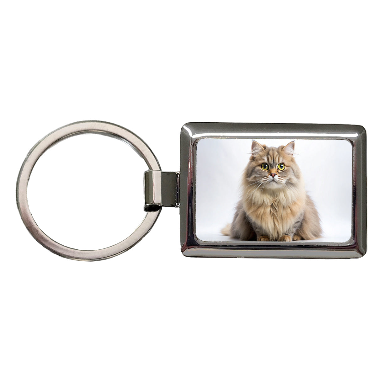 British Longhair Cat Photo Rectangle Metal Keychain