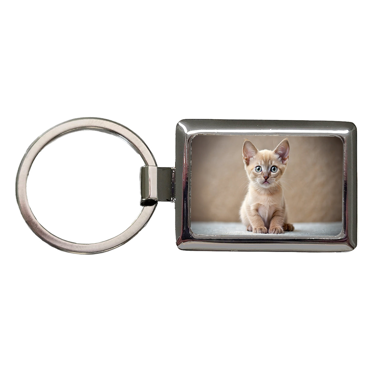 Burmese Cat Kitten Photo Rectangle Metal Keychain