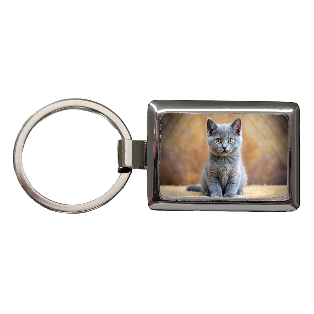 Chartreux Cat Kitten Photo Rectangle Metal Keychain
