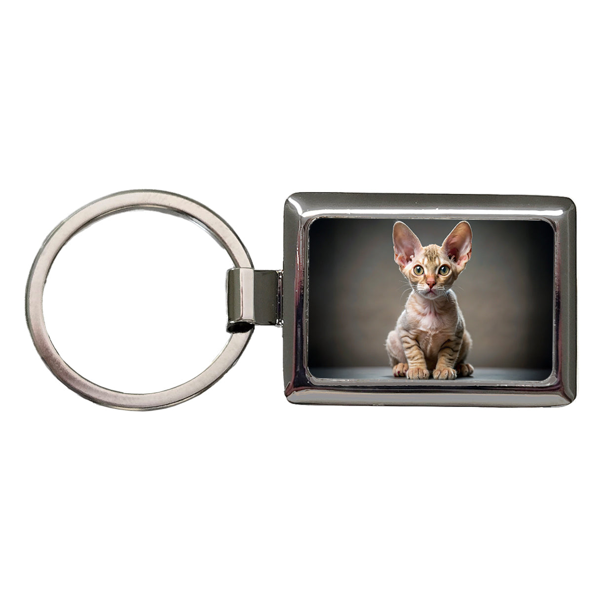 Devon Rex Cat Kitten Photo Rectangle Metal Keychain