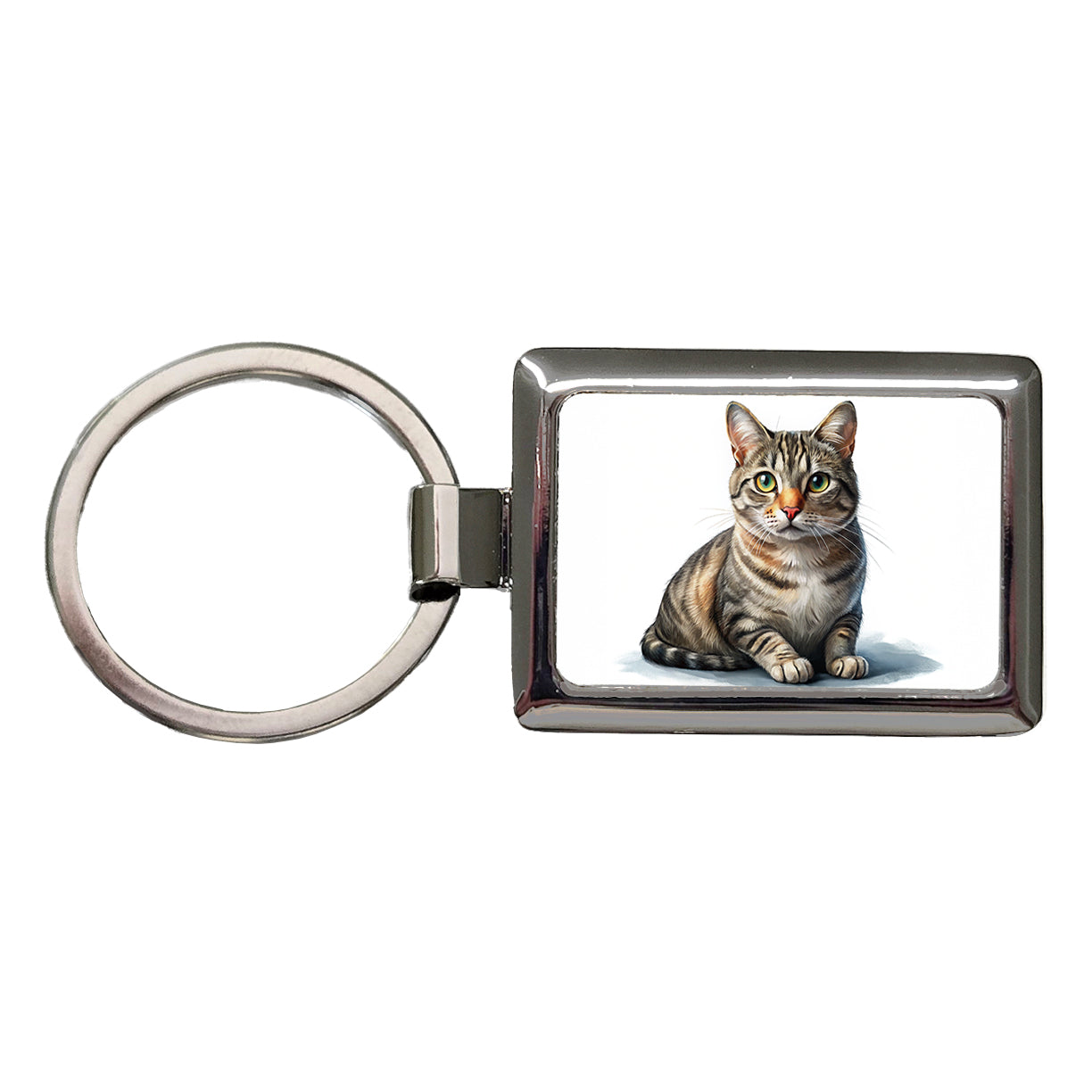 European Shorthair Cat Illustration Rectangle Metal Keychain