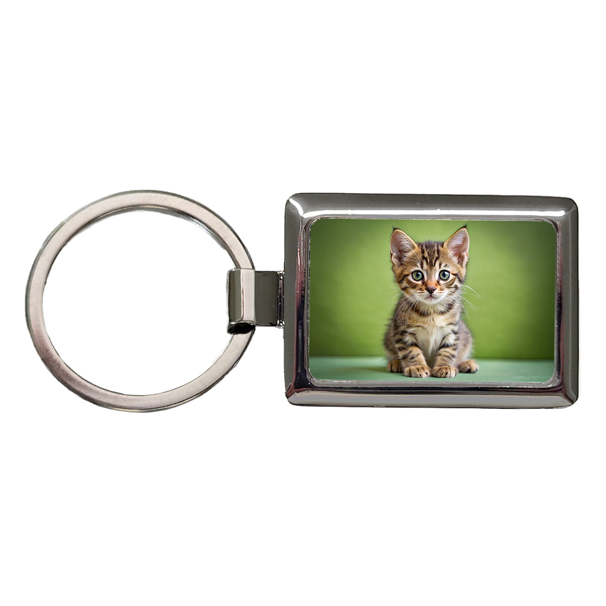 European Shorthair Cat Kitten Photo Rectangle Metal Keychain