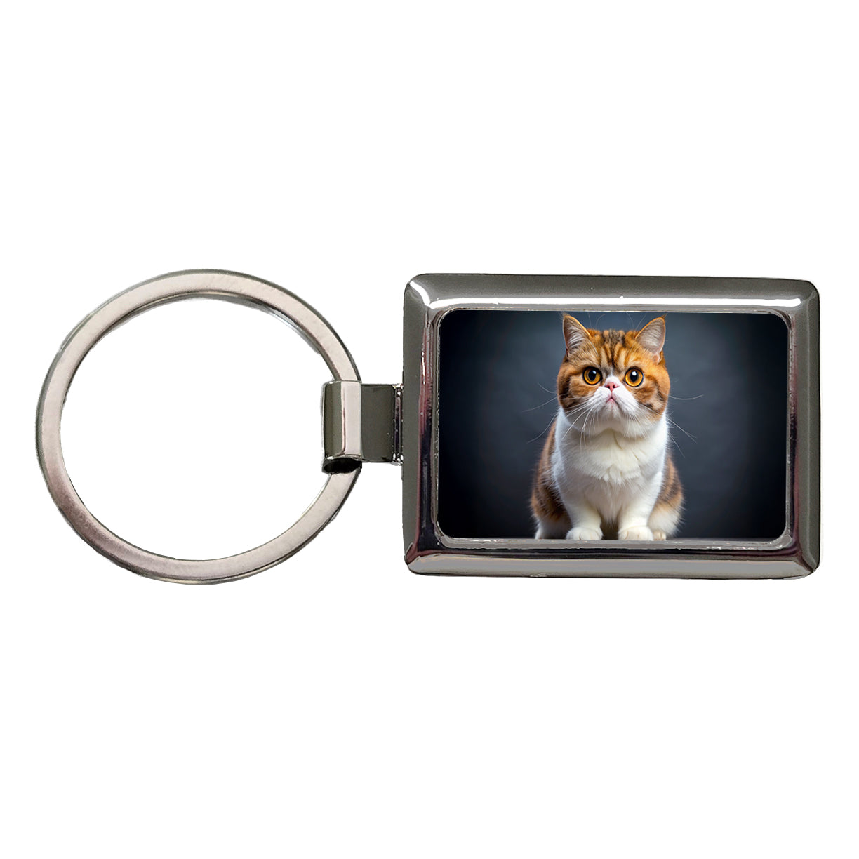 Exotic Shorthair Cat Photo Rectangle Metal Keychain