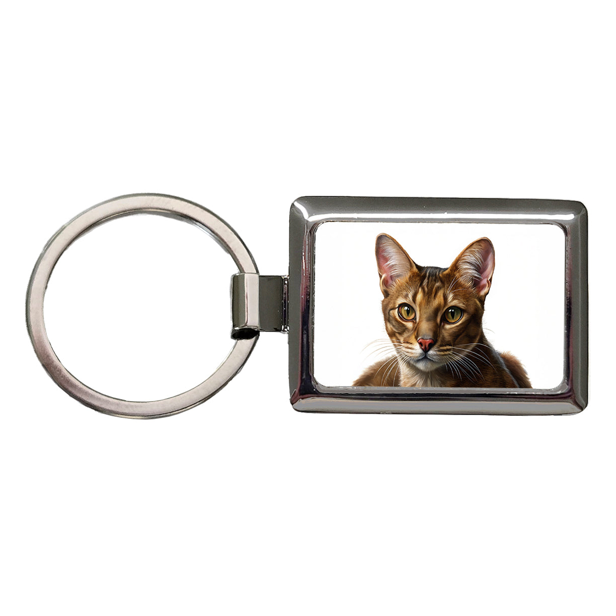 Havana Brown Cat Illustration Rectangle Metal Keychain