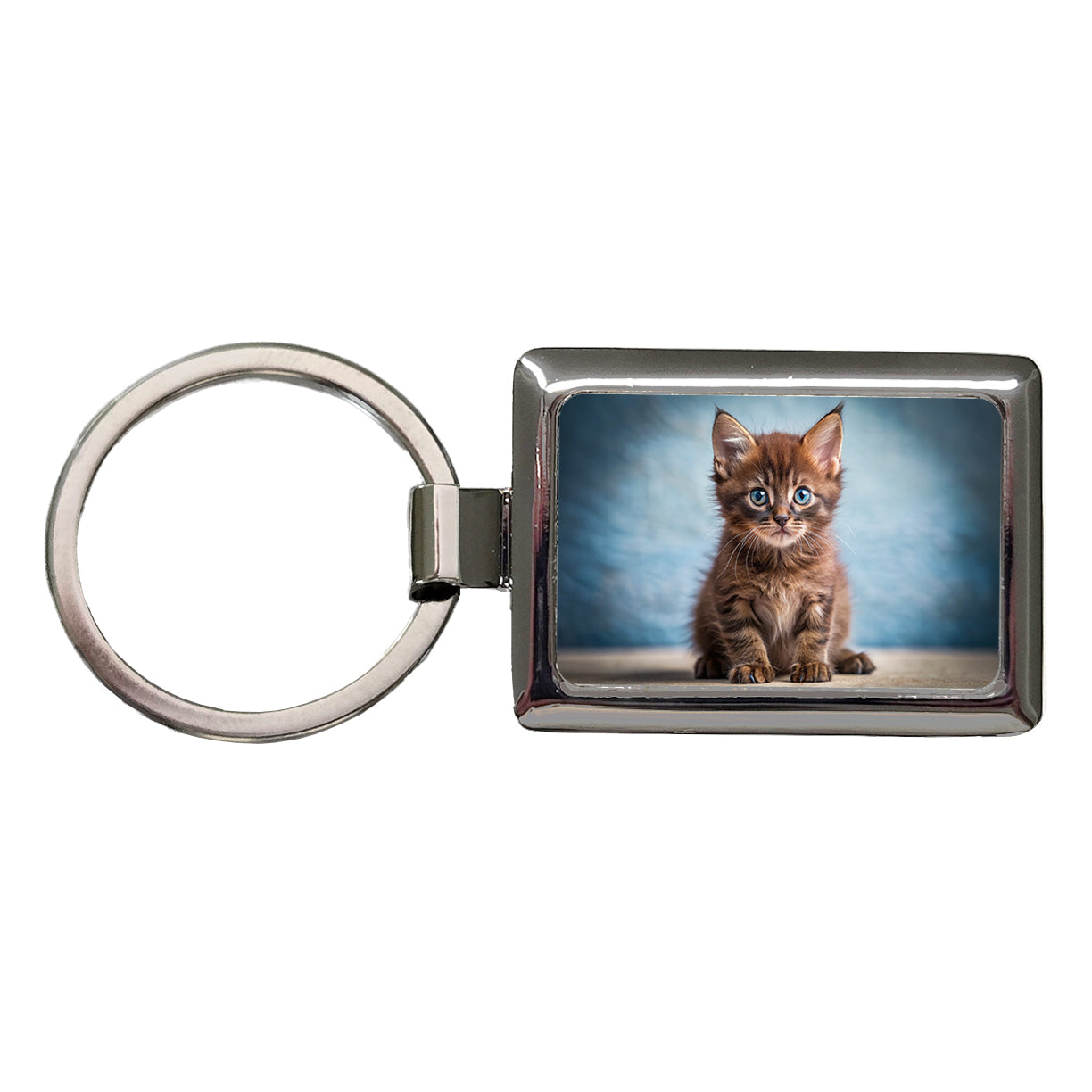 Havana Brown Cat Kitten Photo Rectangle Metal Keychain