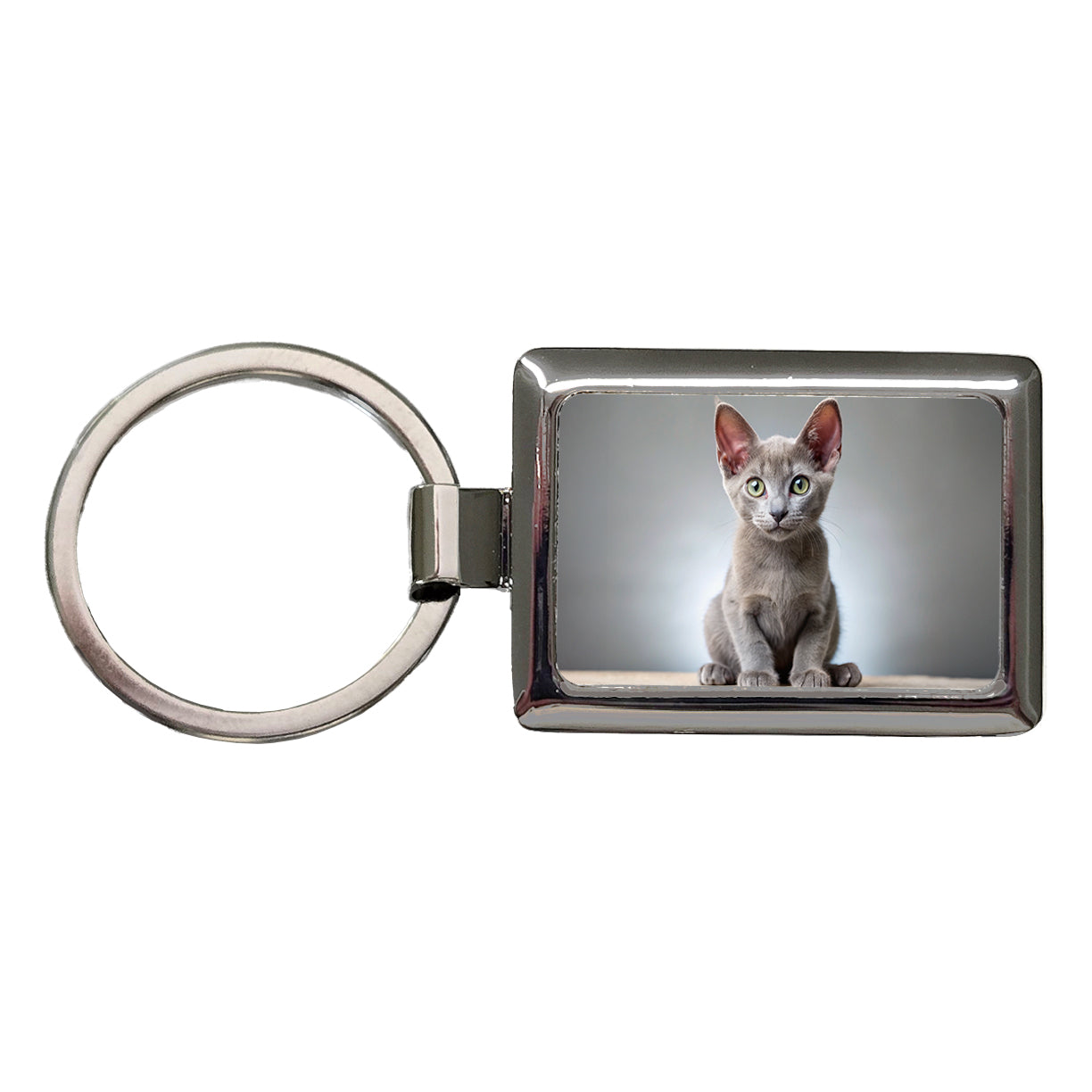 Korat Cat Kitten Photo Rectangle Metal Keychain