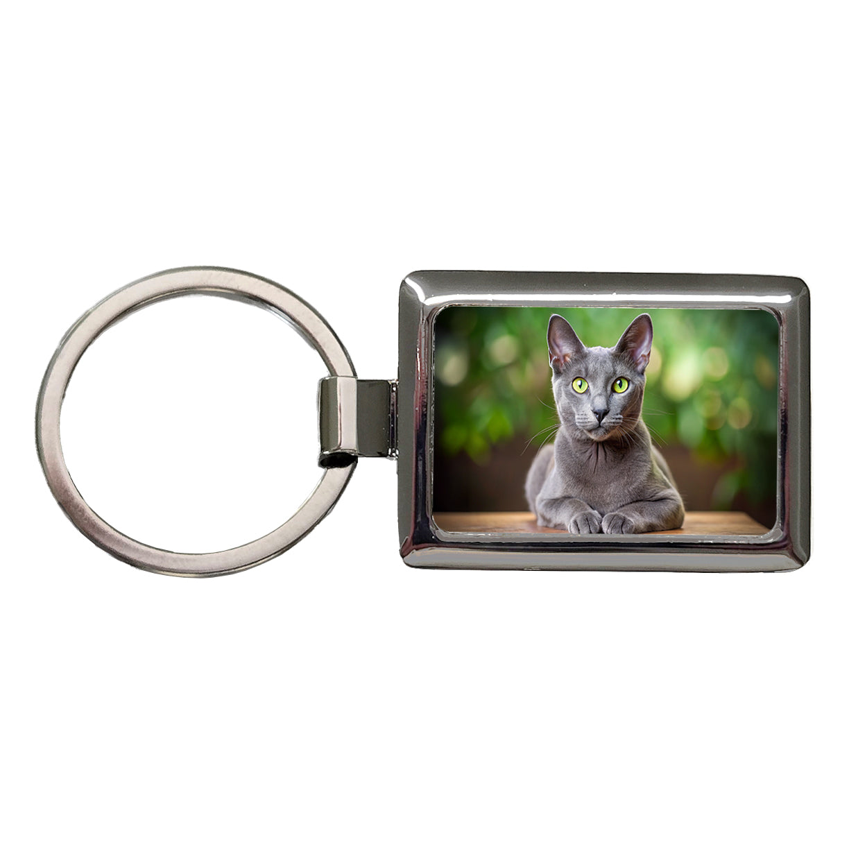Korat Cat Photo Rectangle Metal Keychain