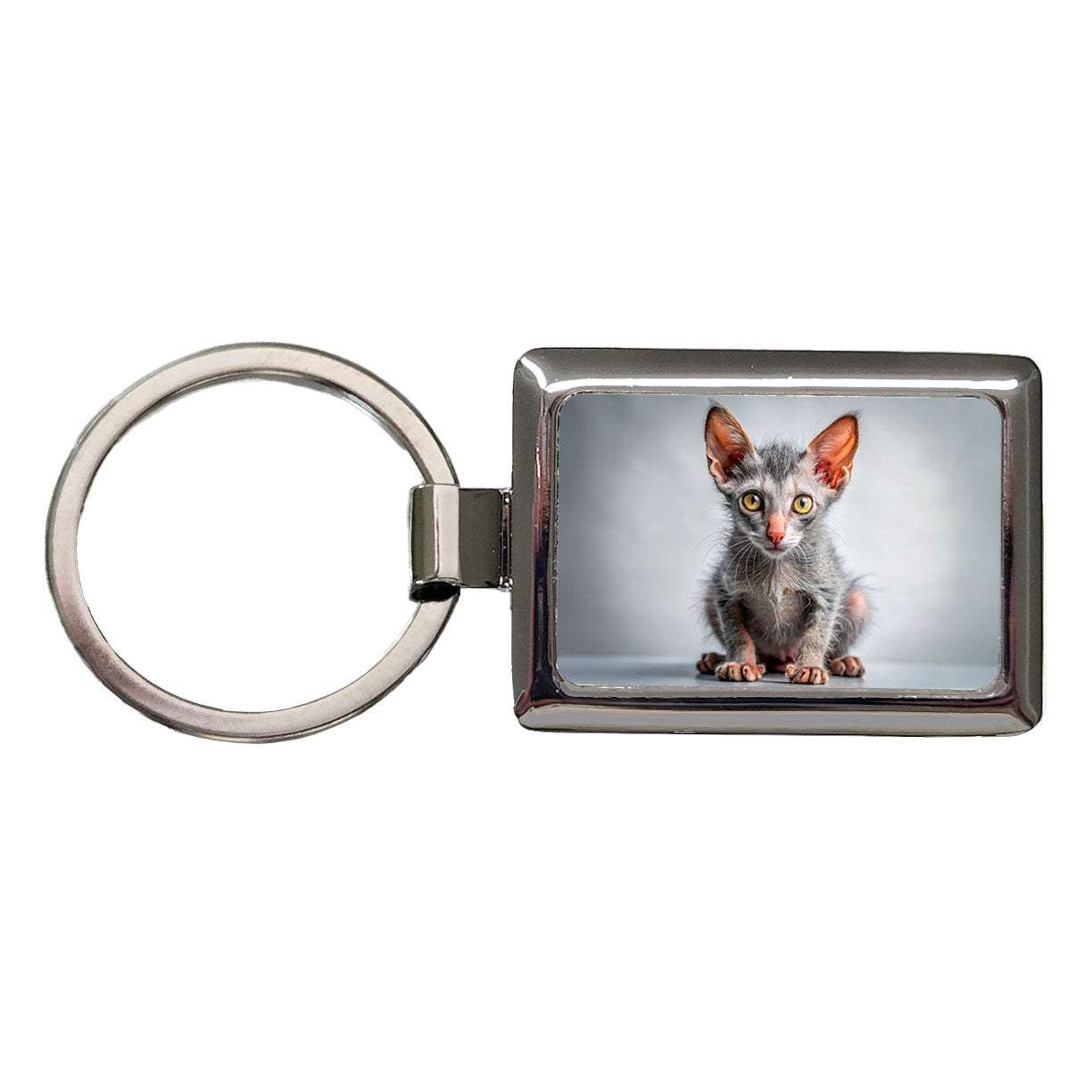 Lykoi Wolf Cat Kitten Photo Rectangle Metal Keychain