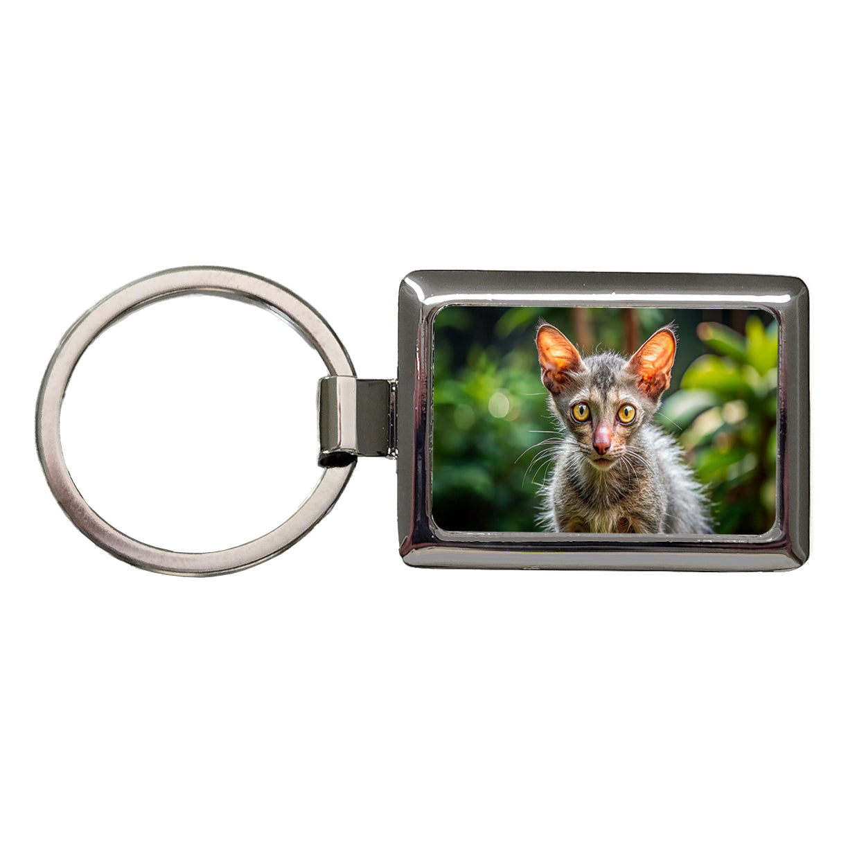 Lykoi Wolf Cat Photo Rectangle Metal Keychain