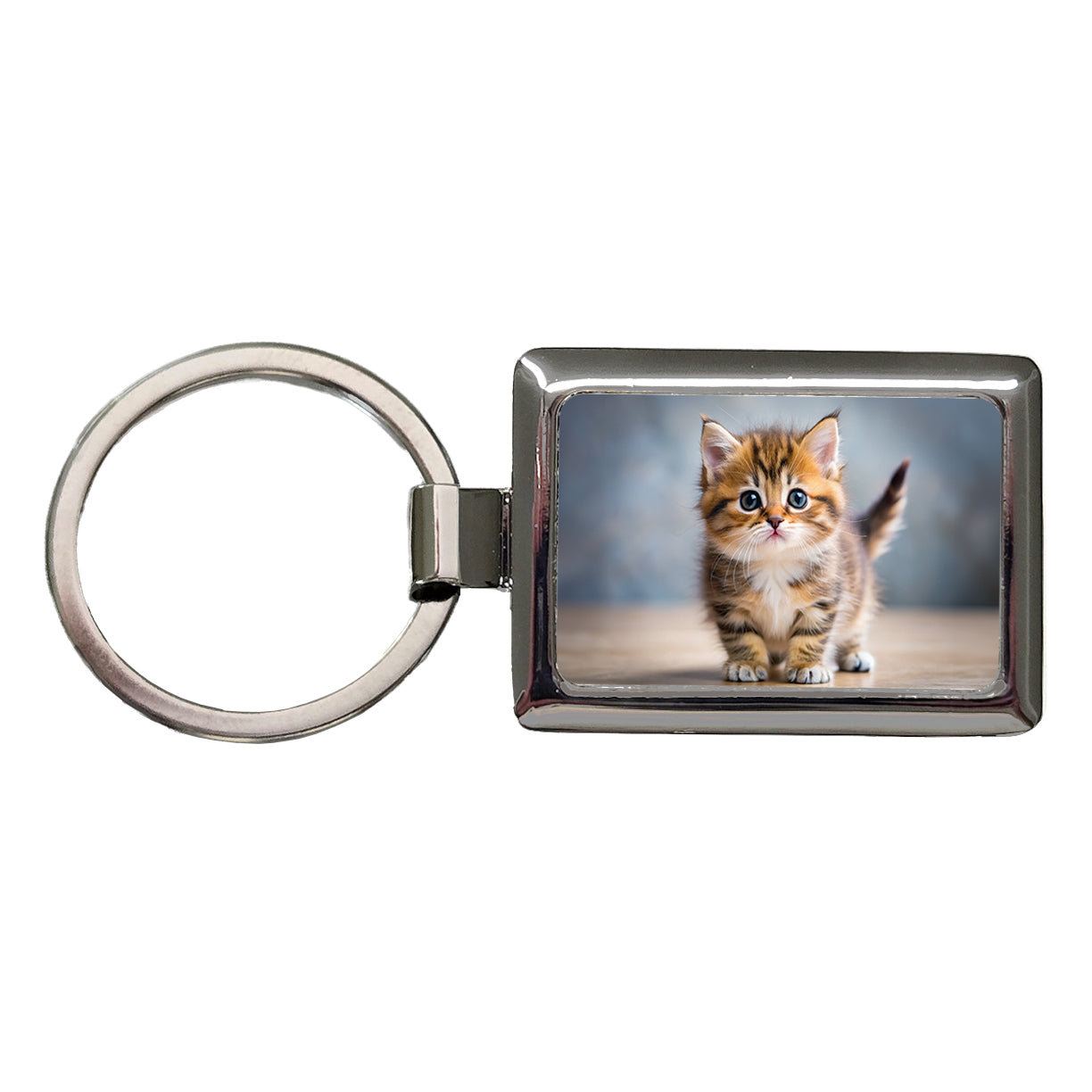 Munchkin Cat Kitten Photo Rectangle Metal Keychain
