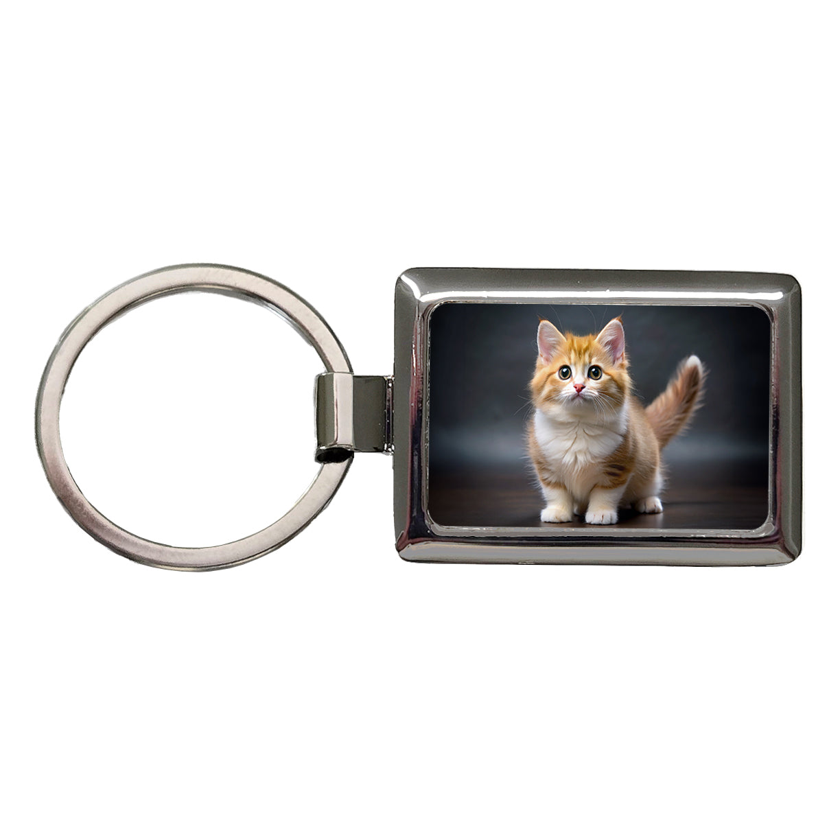 Munchkin Cat Photo Rectangle Metal Keychain
