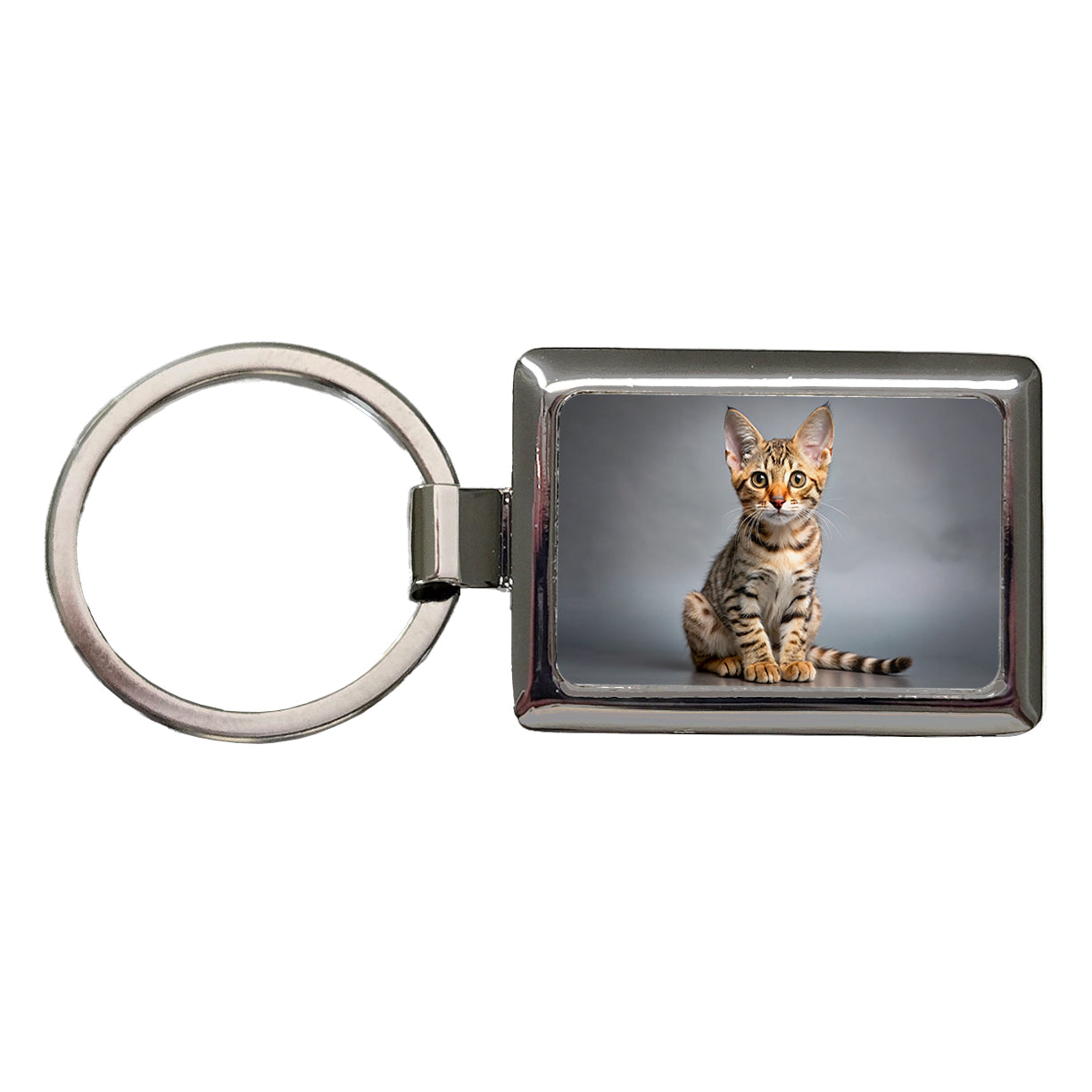 Ocicat Cat Kitten Photo Rectangle Metal Keychain