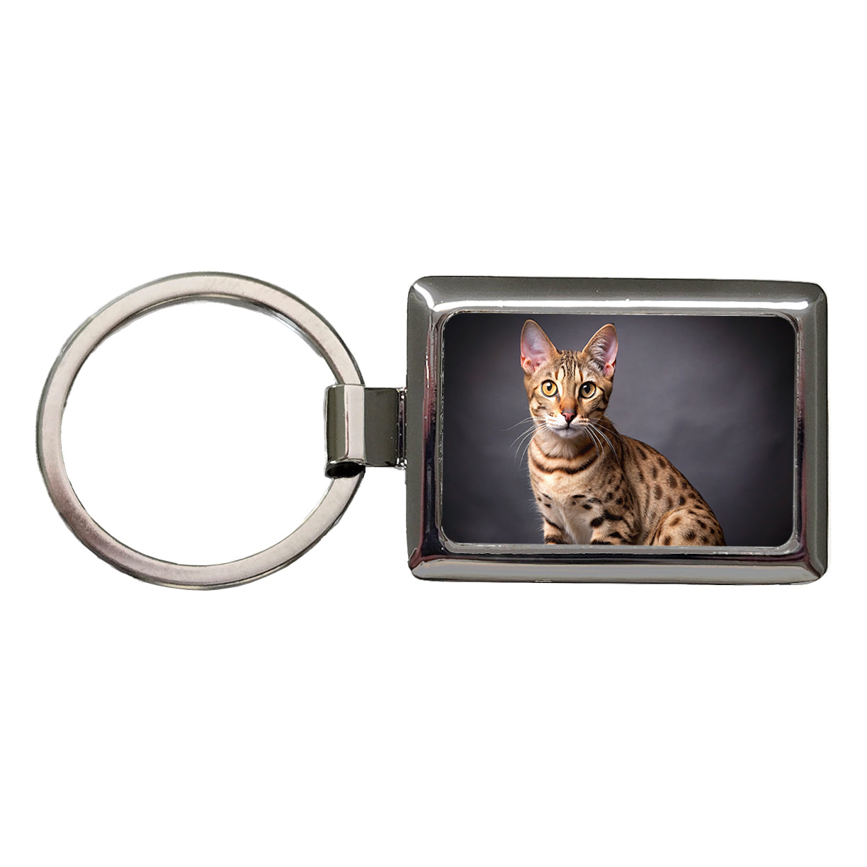 Ocicat Cat Photo Rectangle Metal Keychain