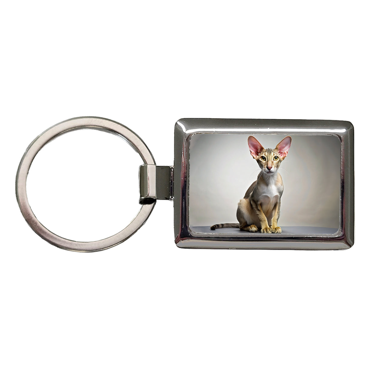 Oriental Shorthair Cat Photo Rectangle Metal Keychain