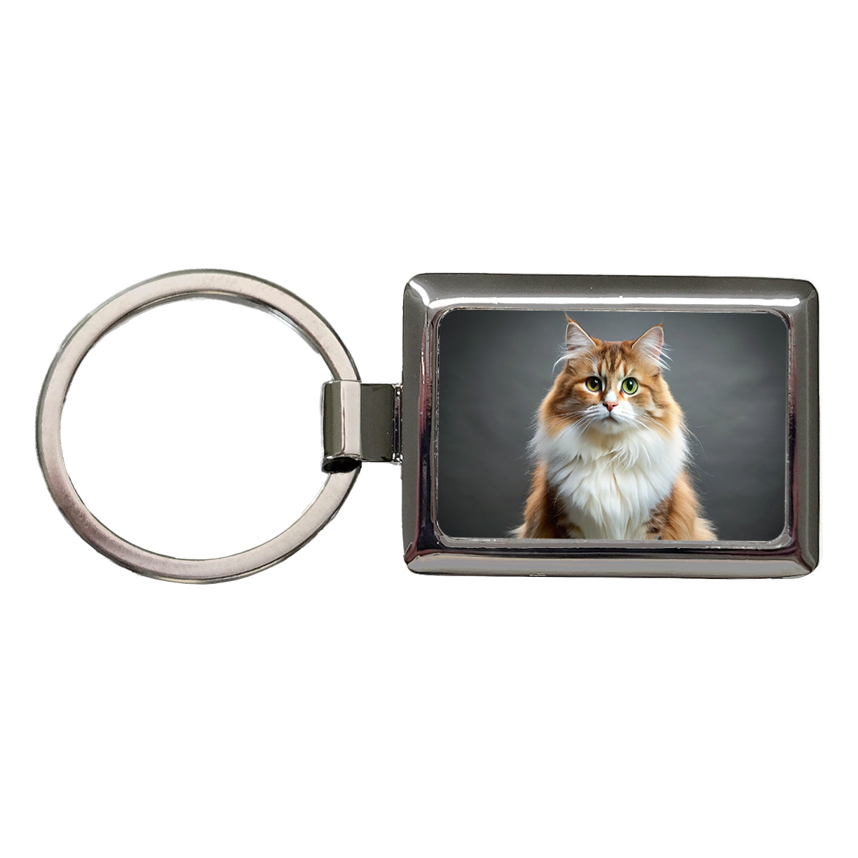 Ragamuffin Cat Photo Rectangle Metal Keychain