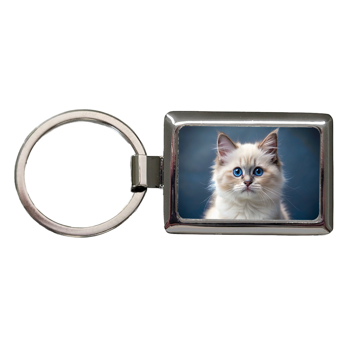 Ragdoll Cat Kitten Photo Rectangle Metal Keychain