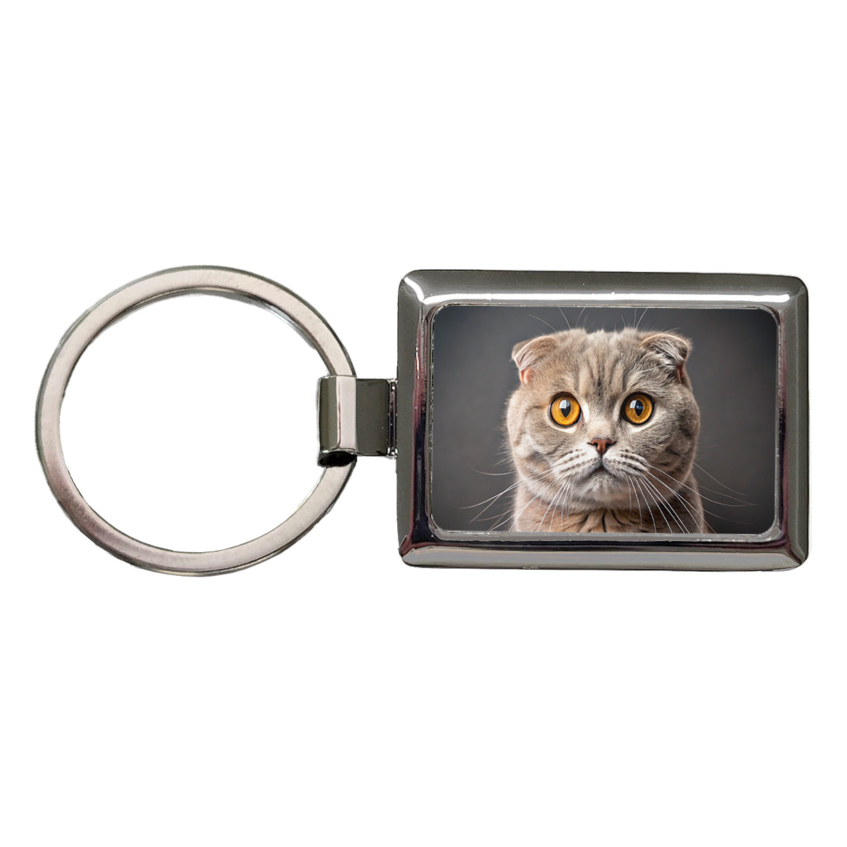 Scottish Fold Cat Photo Rectangle Metal Keychain