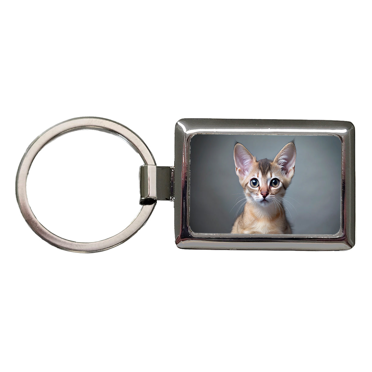 Singapura Cat Kitten Photo Rectangle Metal Keychain