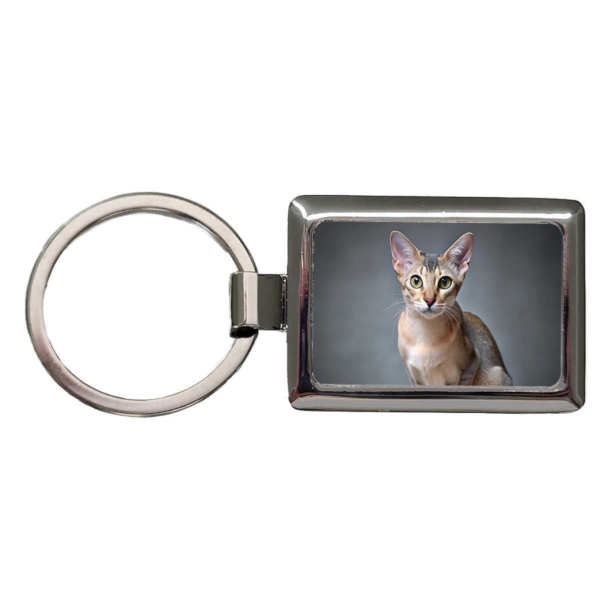 Singapura Cat Photo Rectangle Metal Keychain