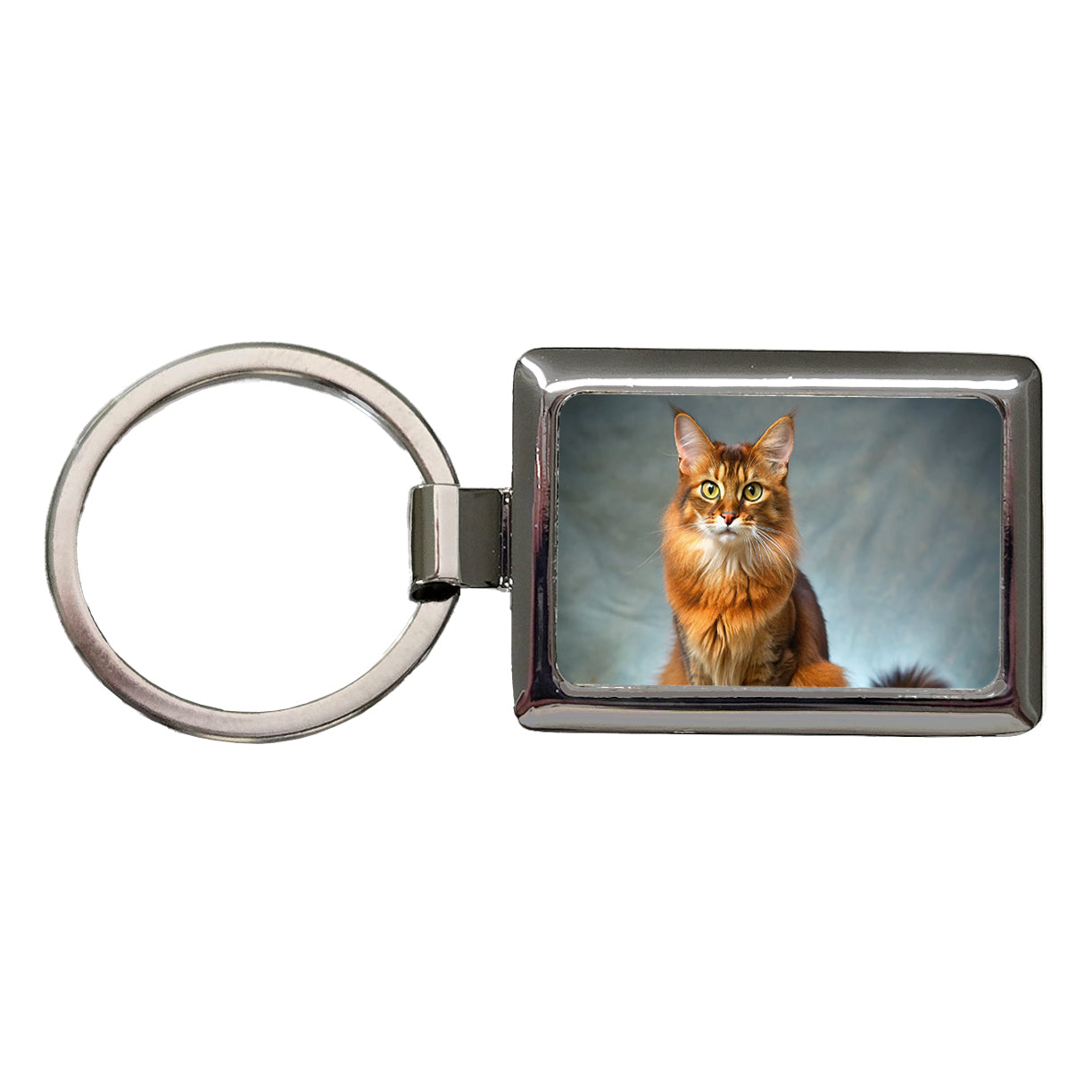 Somali Cat Kitten Photo Rectangle Metal Keychain