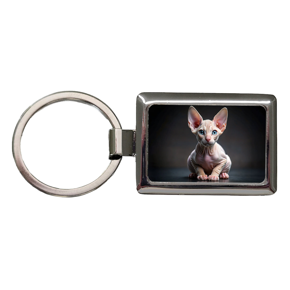 Sphynx Cat Kitten Photo Rectangle Metal Keychain