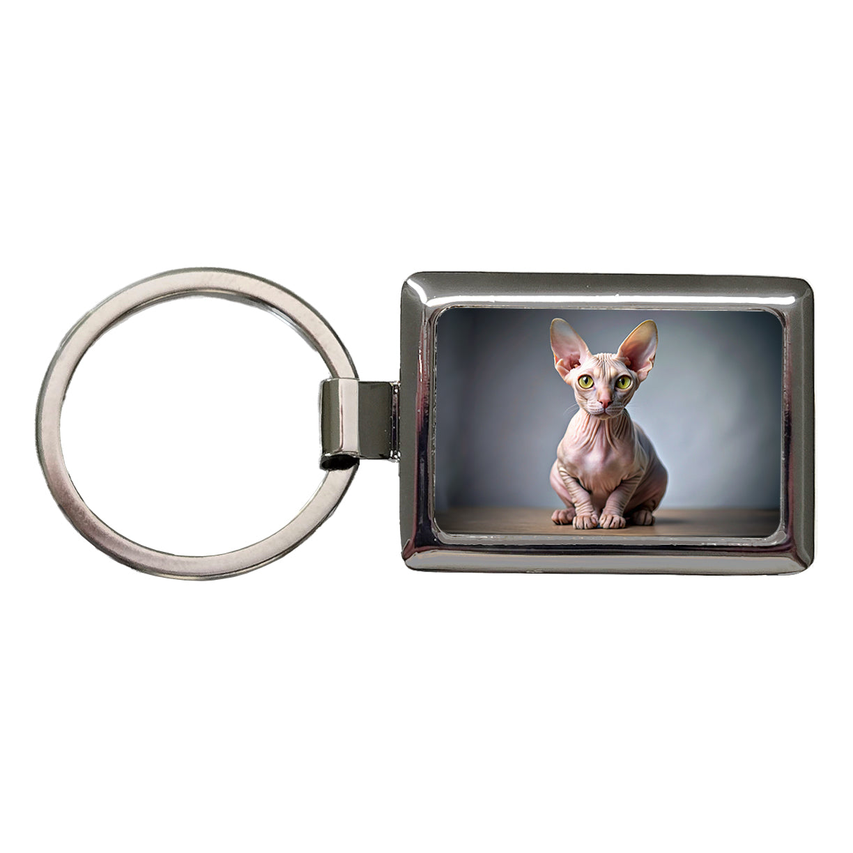 Sphynx Cat Photo Rectangle Metal Keychain