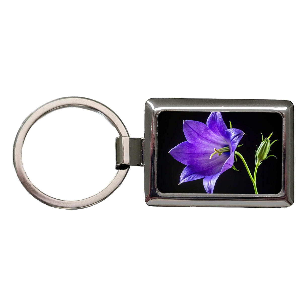 Bellflower Purple Flower Photo Rectangle Metal Keychain