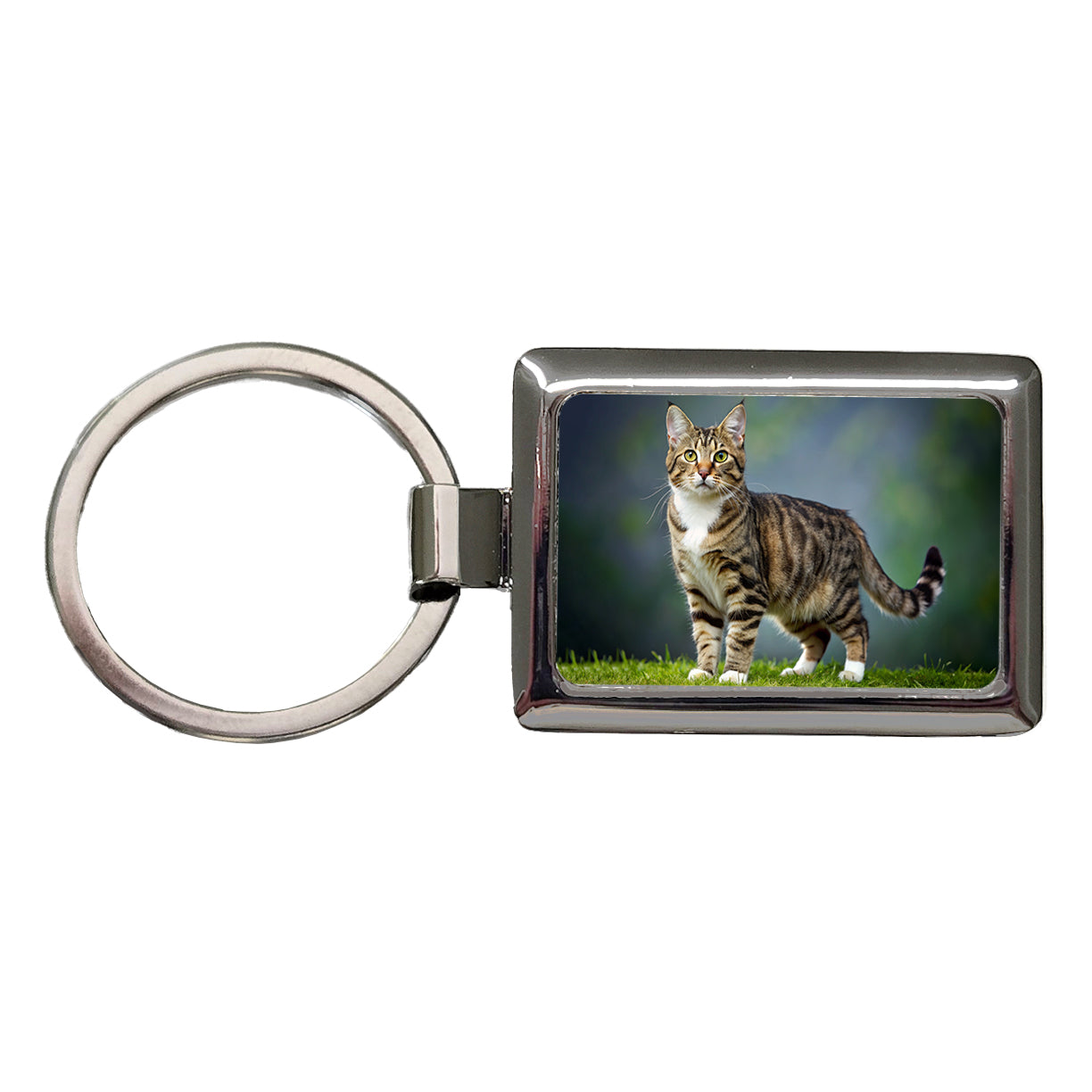 Cute Tabby Cat Photo Rectangle Metal Keychain