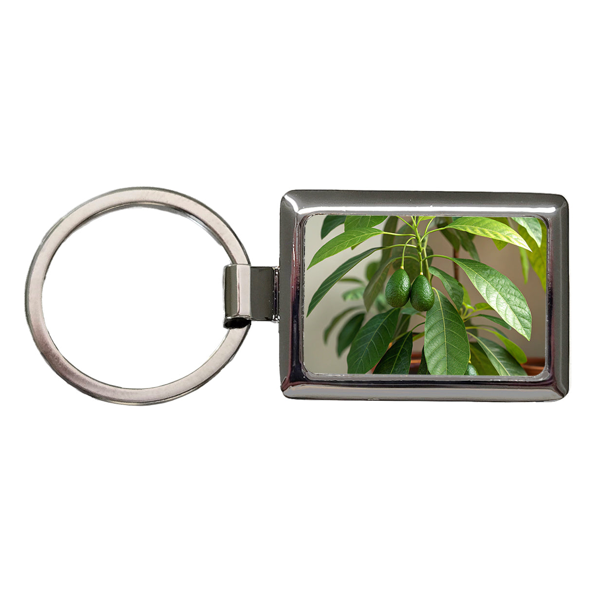 Avocados On Plant Rectangle Metal Keychain