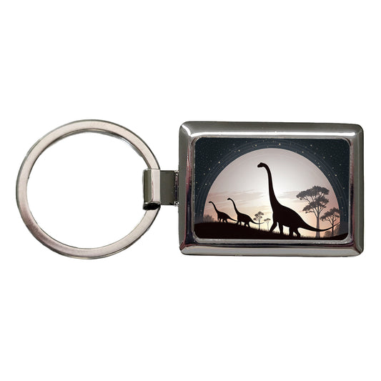 Diplodocus Silhouettes Dinosaurs Rectangle Metal Keychain