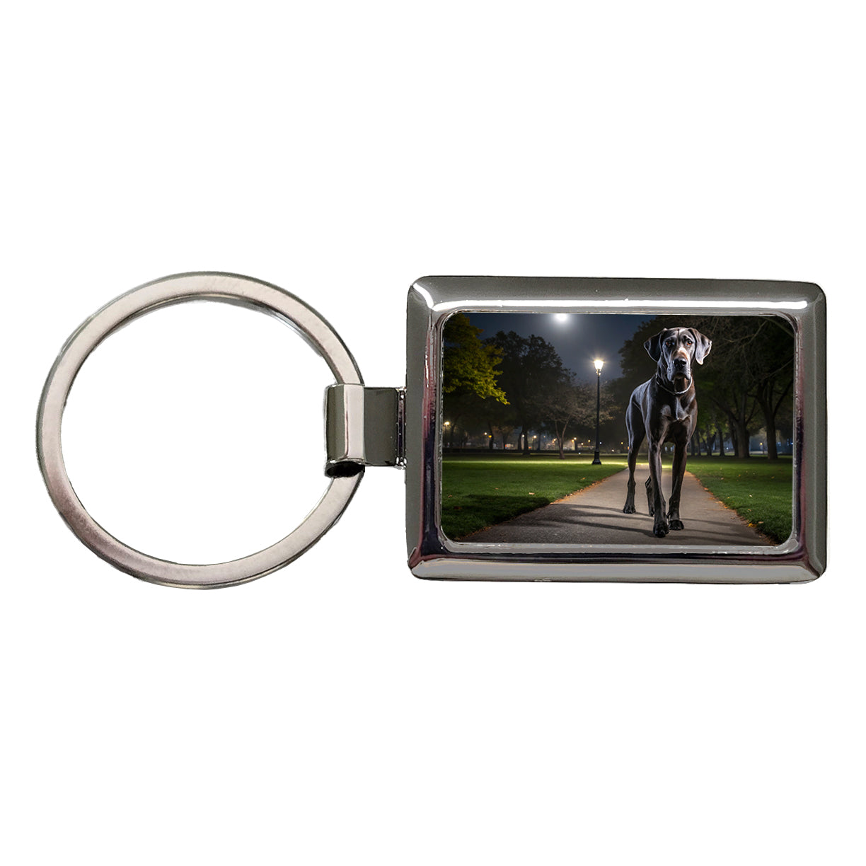 Great Dane In Park At Night Rectangle Metal Keychain