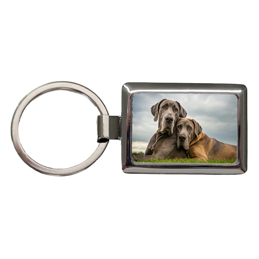 Great Danes In Love Friends Buddies Rectangle Metal Keychain