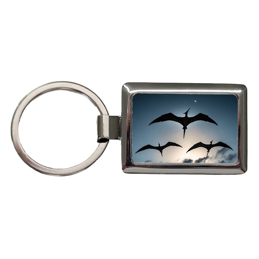Pterodactylus Silhouettes Flying Dinosaurs Rectangle Metal Keychain