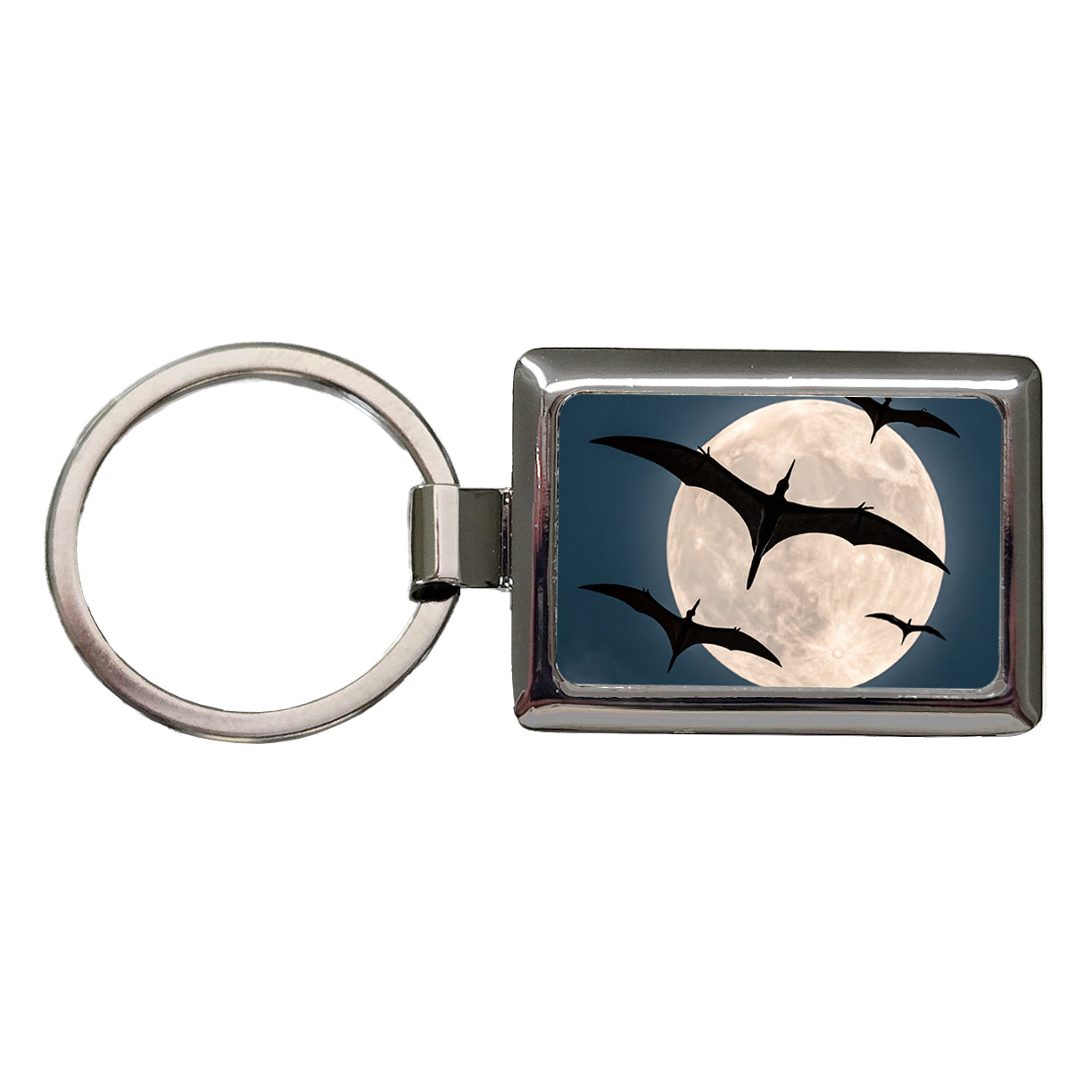Pterodactylus Silhouettes Night Dinosaurs Rectangle Metal Keychain