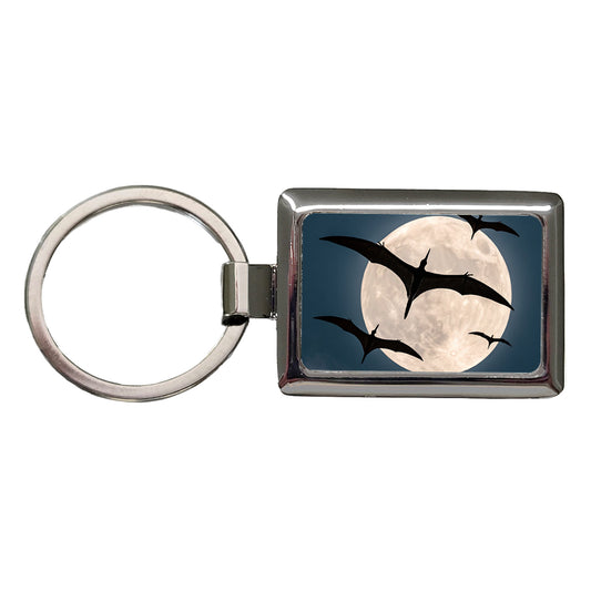 Pterodactylus Silhouettes Night Dinosaurs Rectangle Metal Keychain