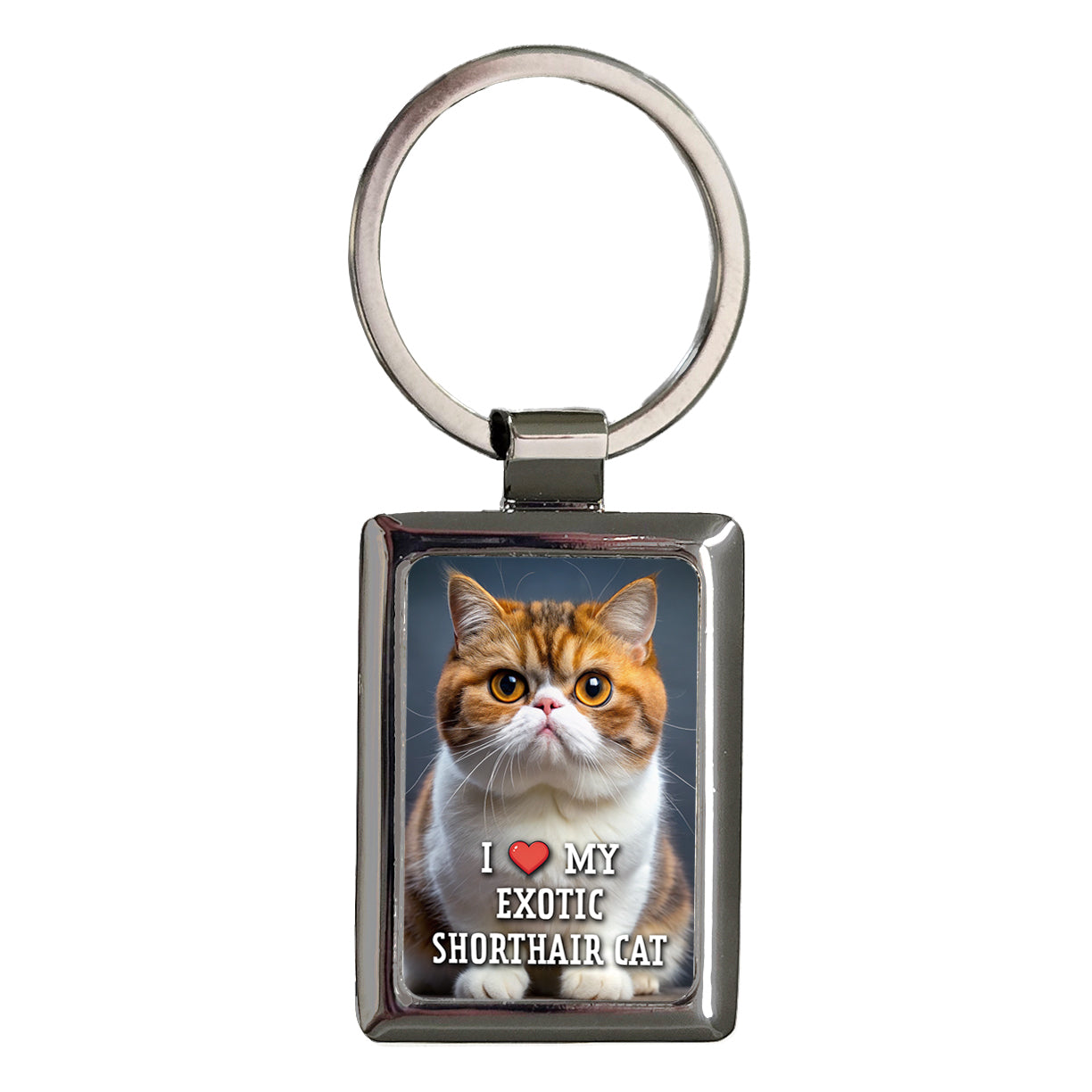 I Love My Exotic Shorthair Cat Heart Rectangle Metal Keychain