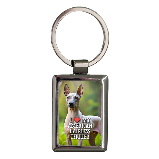 I Love My American Hairless Terrier Dog Heart Rectangle Metal Keychain