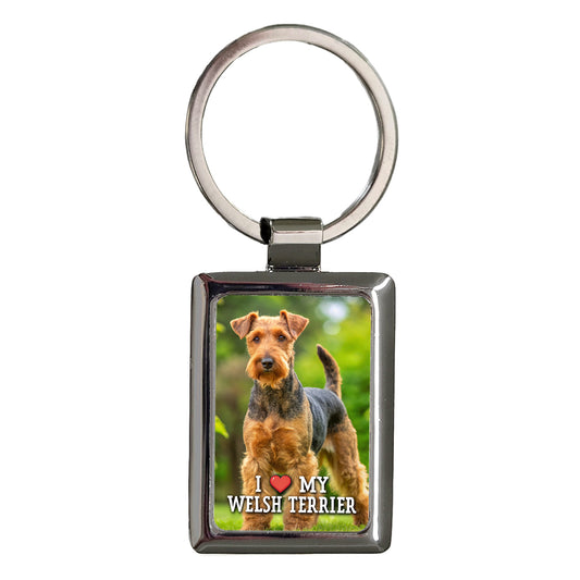 I Love My Welsh Terrier Dog Heart Rectangle Metal Keychain