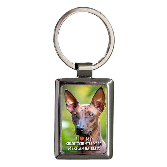 I Love My Xoloitzcuintli Xolo Mexican Hairless Dog Heart Rectangle Metal Keychain