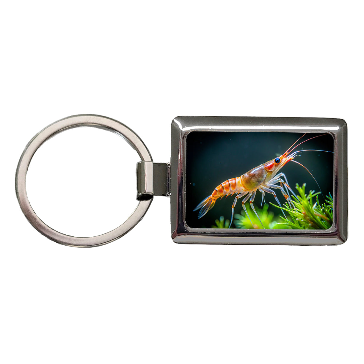 Shrimp Swimming Rectangle Metal Keychain