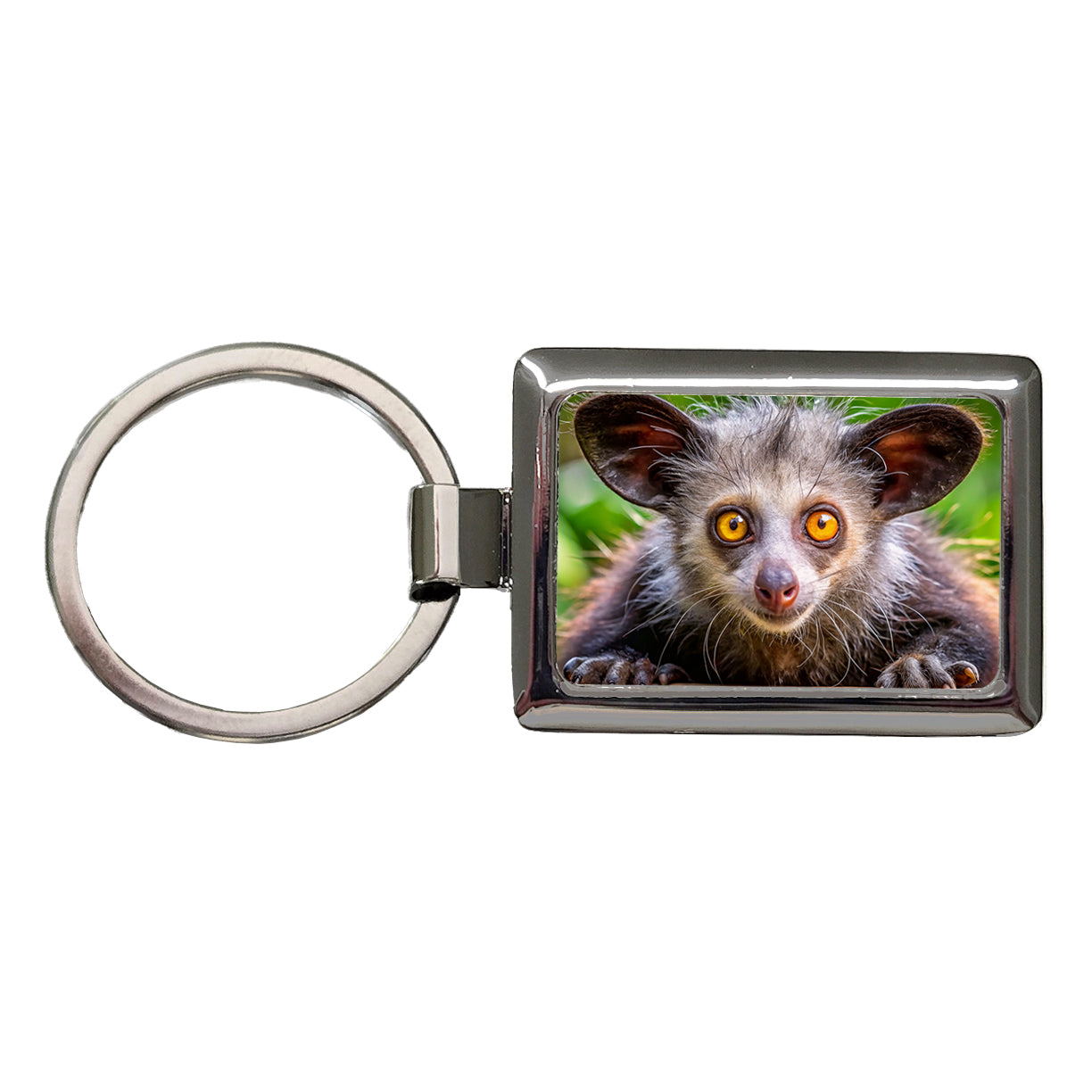 Aye Aye Long Fingered Lemur Rectangle Metal Keychain