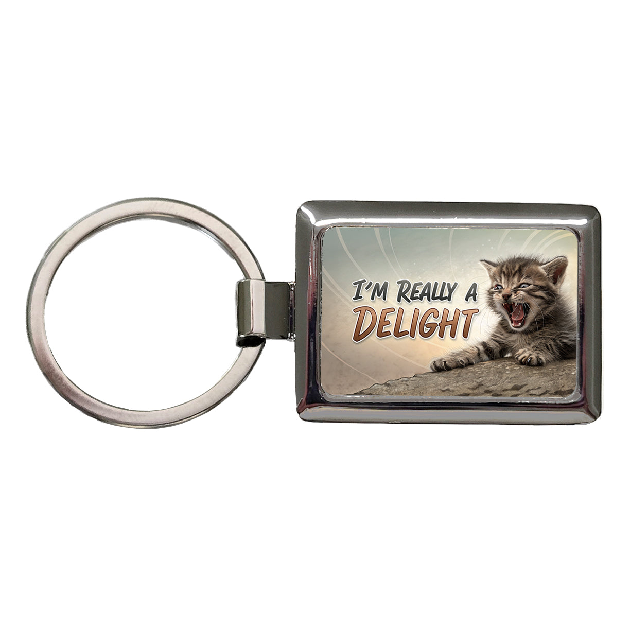 I'm Really a Delight Funny Angry Kitten Rectangle Metal Keychain