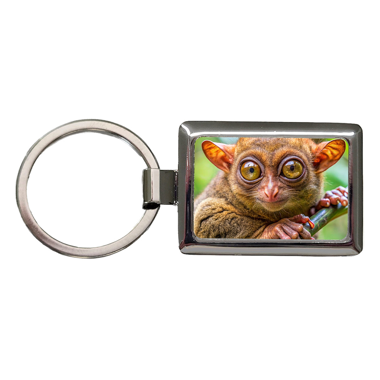 Tarsier Photograph Rectangle Metal Keychain