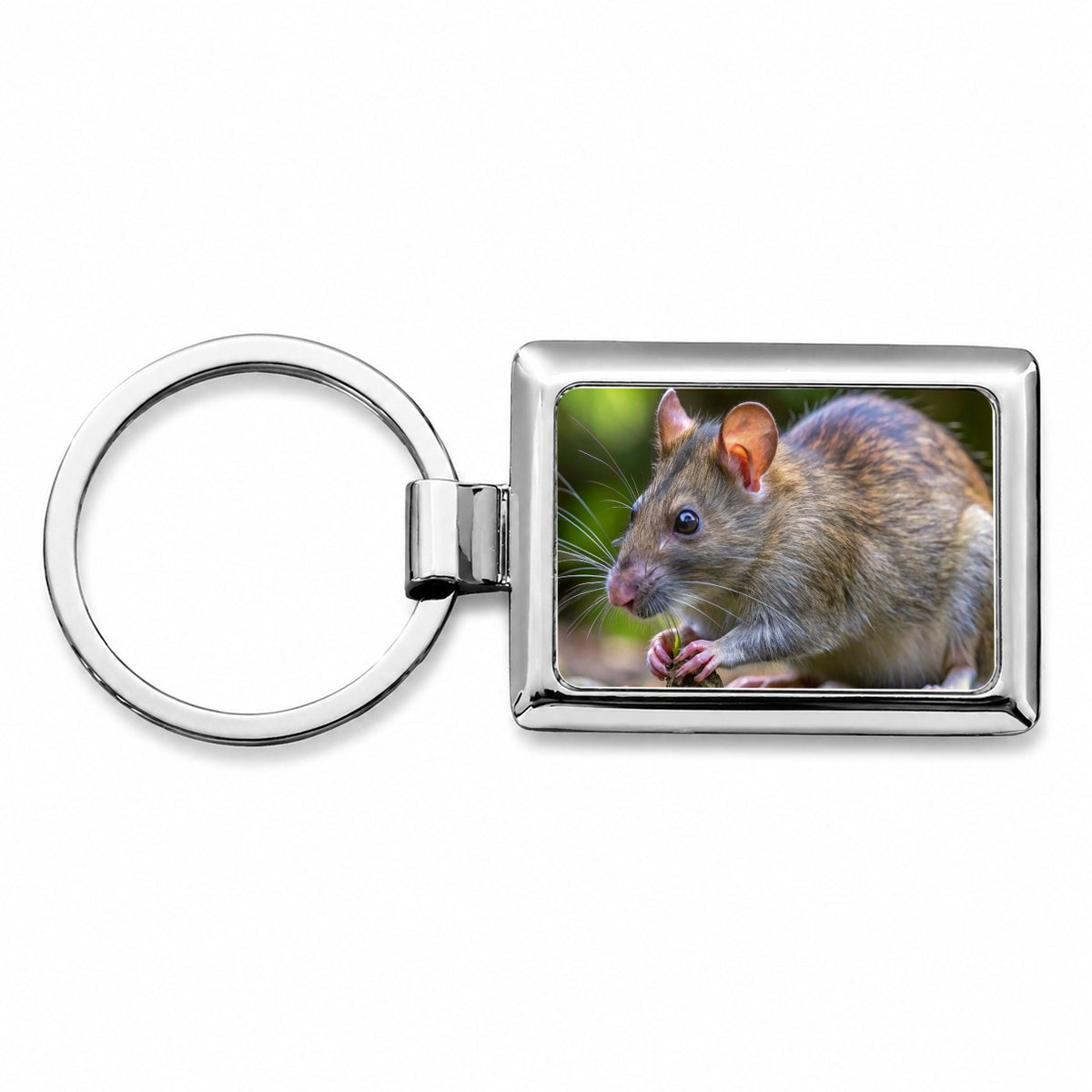 Pouch Rat Rectangle Metal Keychain