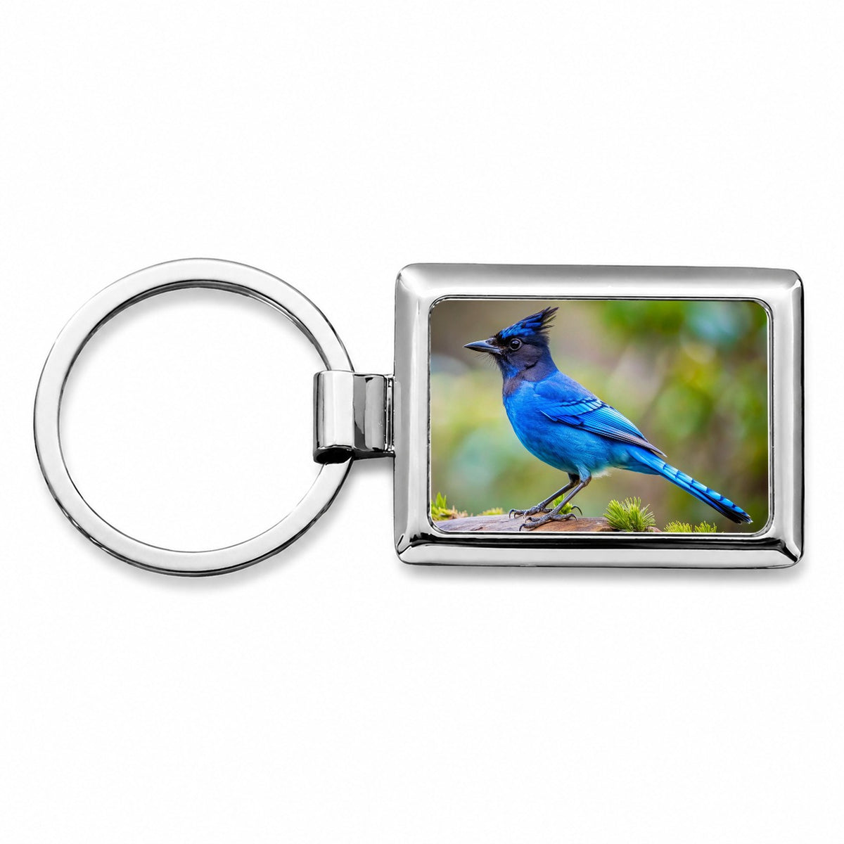 Stellar's Jay Backyard Bird Rectangle Metal Keychain