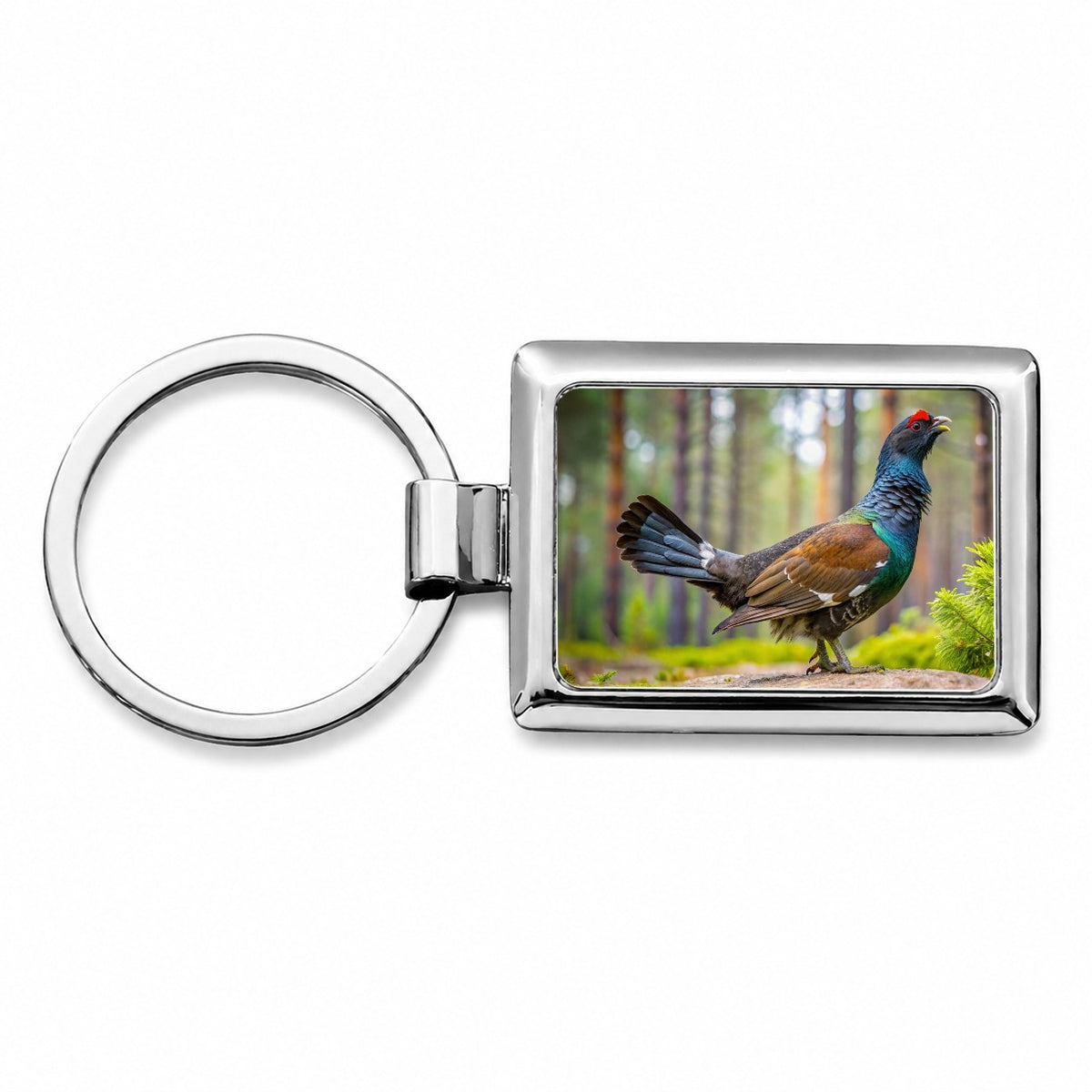 Western Capercaillie Wood Grouse Bird Rectangle Metal Keychain